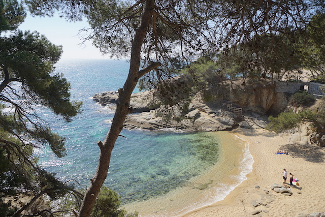 platjafrontlinesmall